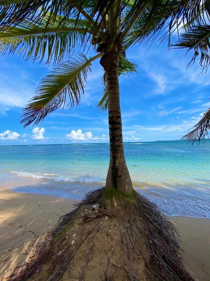 Cozy Beach Apartment Luquillo Εξωτερικό φωτογραφία